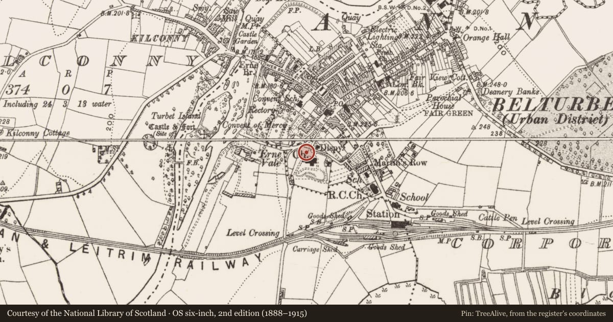 Ordnance Survey six-inch map, 2nd edition (1888–1915) covering the location of Graveyard, Corporation Lands, County Cavan, with a pin at the register's coordinates