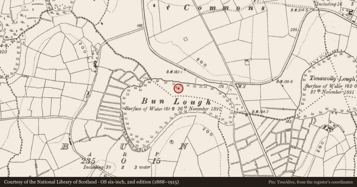 Ordnance Survey six-inch map, 2nd edition (1888–1915) covering the location of Crannog, Corporation Lands, County Cavan, with a pin at the register's coordinates