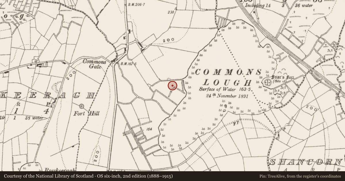 Ordnance Survey six-inch map, 2nd edition (1888–1915) covering the location of Ringfort - rath, Corporation Lands, County Cavan, with a pin at the register's coordinates