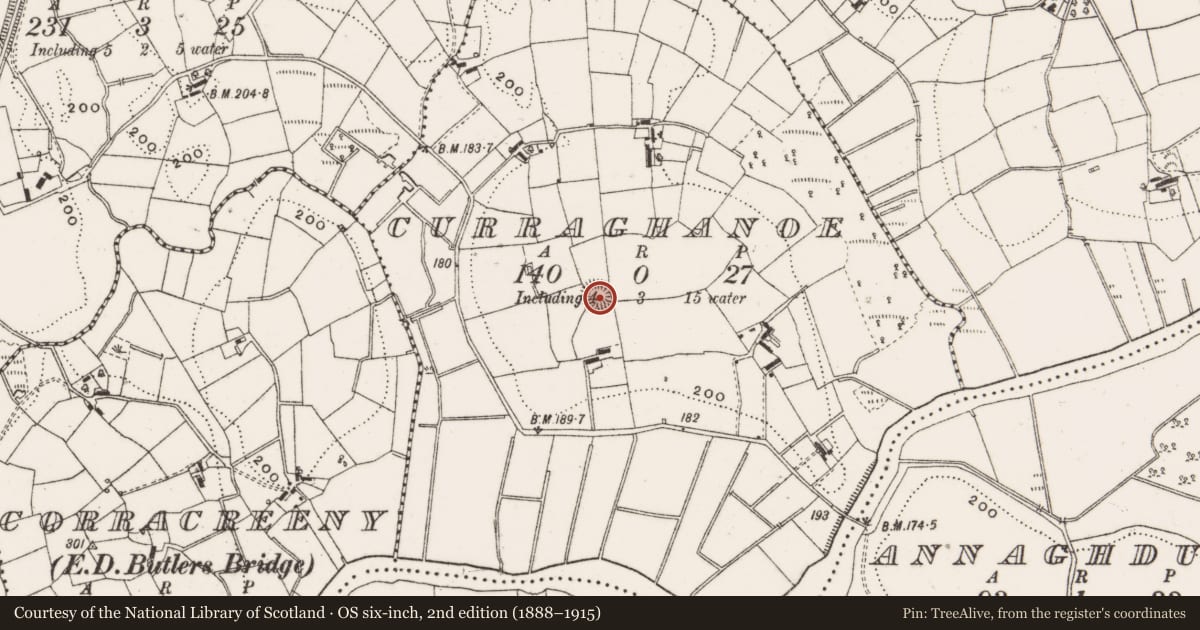 Ordnance Survey six-inch map, 2nd edition (1888–1915) covering the location of Ringfort - rath, Curraghanoe, County Cavan, with a pin at the register's coordinates
