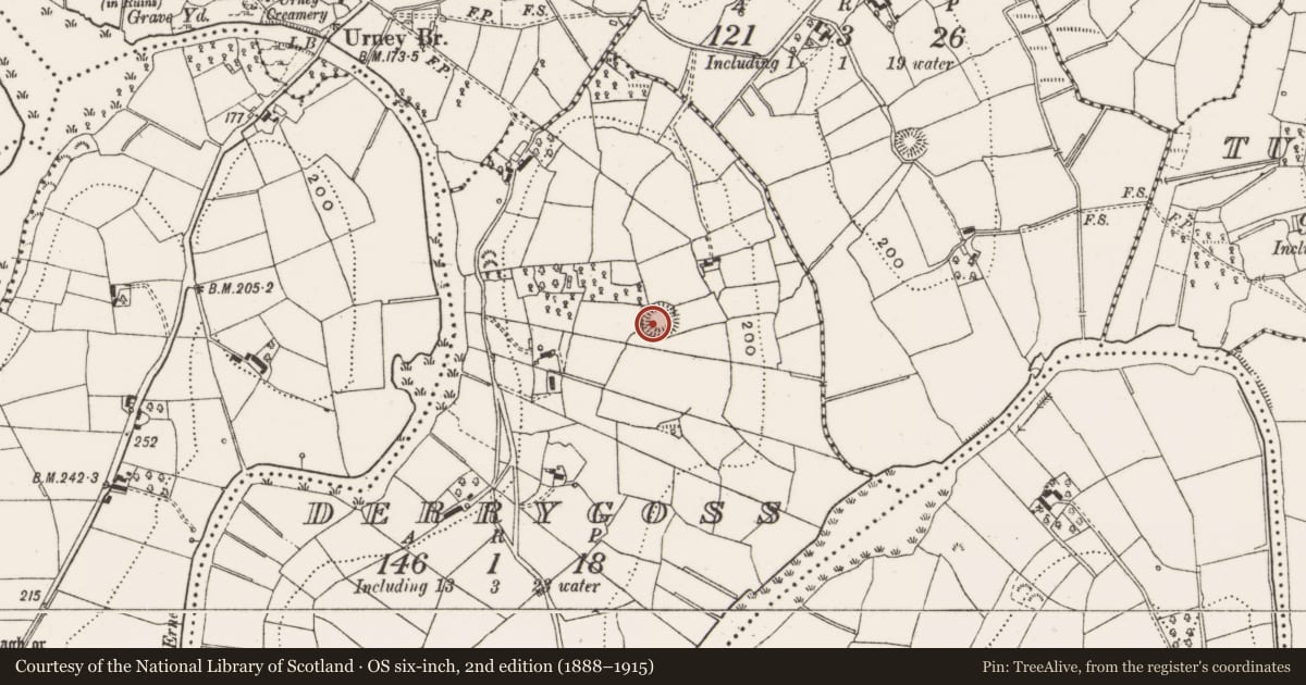 Ordnance Survey six-inch map, 2nd edition (1888–1915) covering the location of Ringfort - rath, Derrygoss, County Cavan, with a pin at the register's coordinates