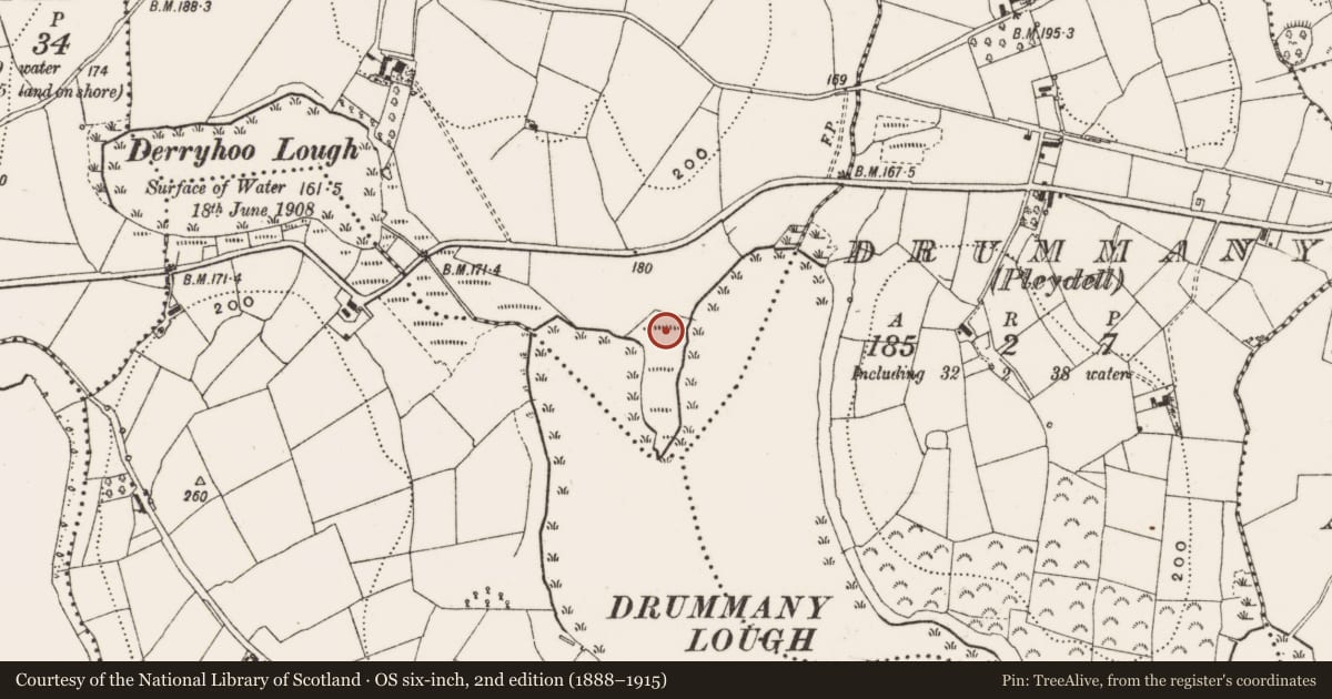 Ordnance Survey six-inch map, 2nd edition (1888–1915) covering the location of Crannog, Derryhoo, County Cavan, with a pin at the register's coordinates