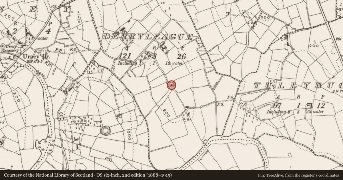 Ordnance Survey six-inch map, 2nd edition (1888–1915) covering the location of Ringfort - rath, Derryleague, County Cavan, with a pin at the register's coordinates