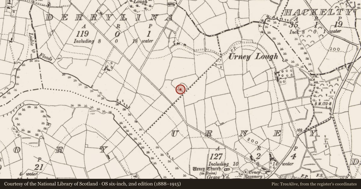 Ordnance Survey six-inch map, 2nd edition (1888–1915) covering the location of Ringfort - cashel, Derrylina, County Cavan, with a pin at the register's coordinates