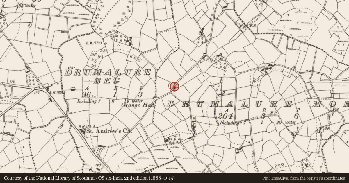 Ordnance Survey six-inch map, 2nd edition (1888–1915) covering the location of Ringfort - rath, Drumalure More, County Cavan, with a pin at the register's coordinates