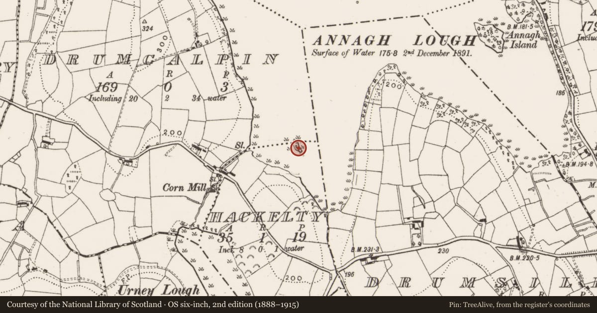 Ordnance Survey six-inch map, 2nd edition (1888–1915) covering the location of Crannog, Drumcalpin, Hackelty, County Cavan, with a pin at the register's coordinates