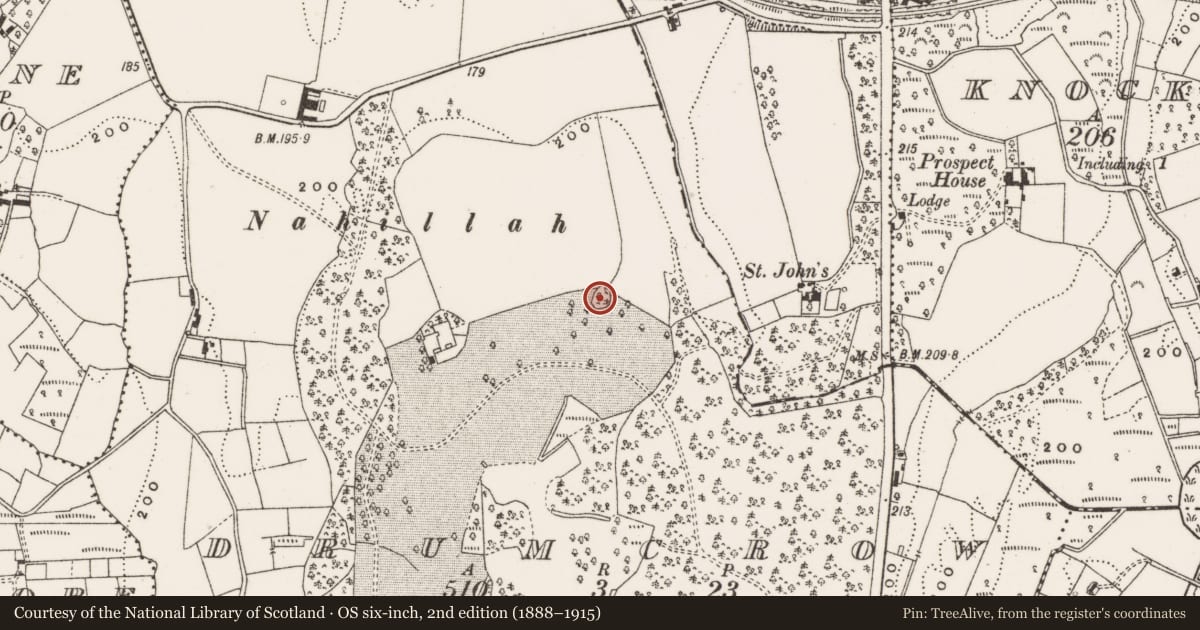 Ordnance Survey six-inch map, 2nd edition (1888–1915) covering the location of Ringfort - rath, Drumcrow, County Cavan, with a pin at the register's coordinates