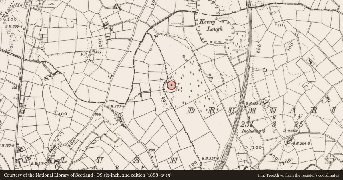 Ordnance Survey six-inch map, 2nd edition (1888–1915) covering the location of Ringfort - rath, Drumharid, County Cavan, with a pin at the register's coordinates