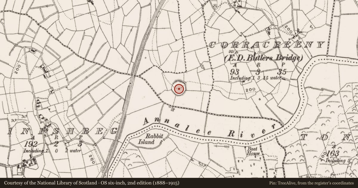 Ordnance Survey six-inch map, 2nd edition (1888–1915) covering the location of Ringfort - rath, Drumharid, County Cavan, with a pin at the register's coordinates