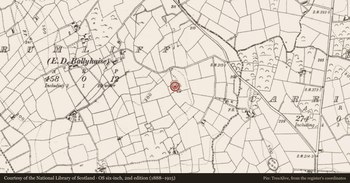 Ordnance Survey six-inch map, 2nd edition (1888–1915) covering the location of Ringfort - rath, Drumliff, County Cavan, with a pin at the register's coordinates