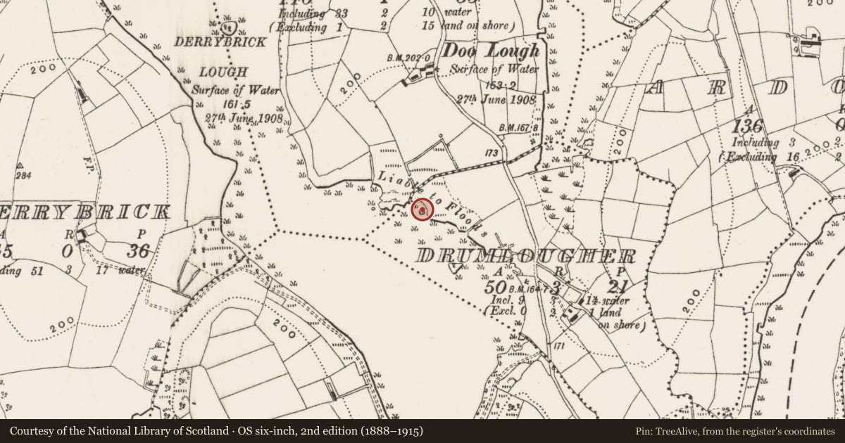 Ordnance Survey six-inch map, 2nd edition (1888–1915) covering the location of Crannog, Drumlougher, County Cavan, with a pin at the register's coordinates