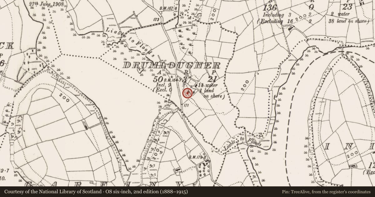 Ordnance Survey six-inch map, 2nd edition (1888–1915) covering the location of Ritual site - holy tree/bush, Drumlougher, County Cavan, with a pin at the register's coordinates