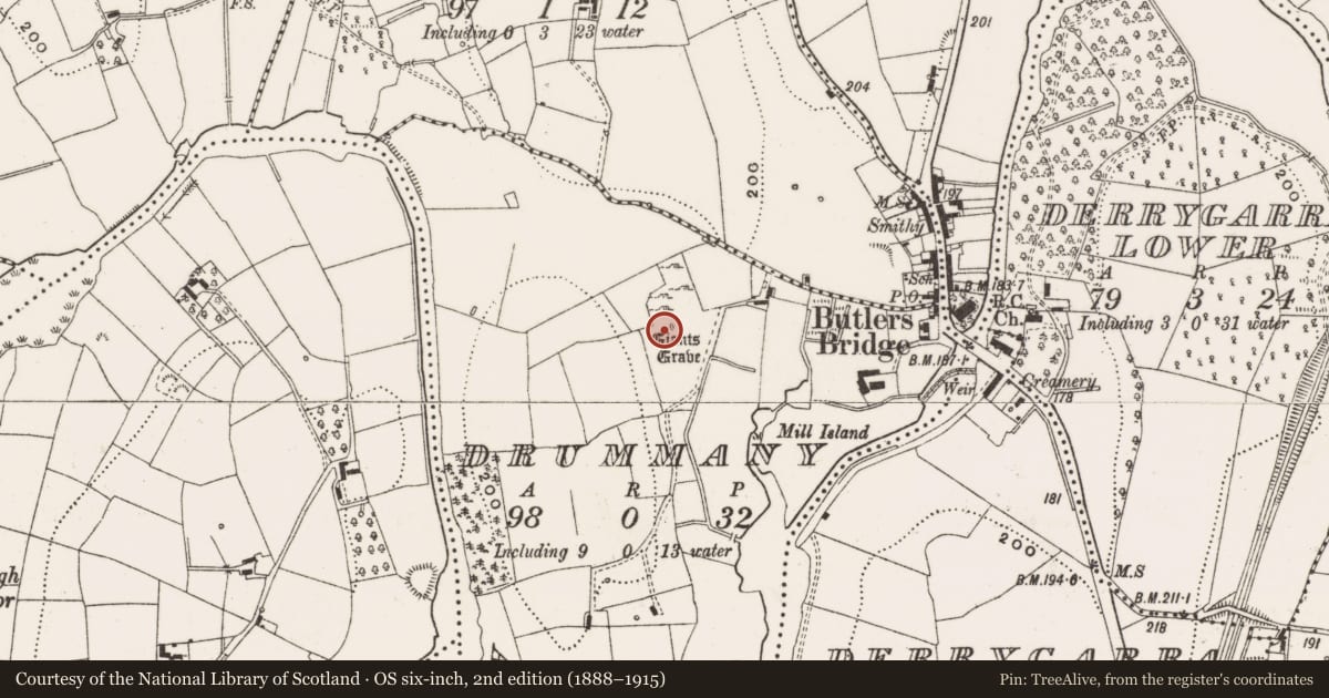 Ordnance Survey six-inch map, 2nd edition (1888–1915) covering the location of Megalithic tomb - unclassified, Drummany, County Cavan, with a pin at the register's coordinates