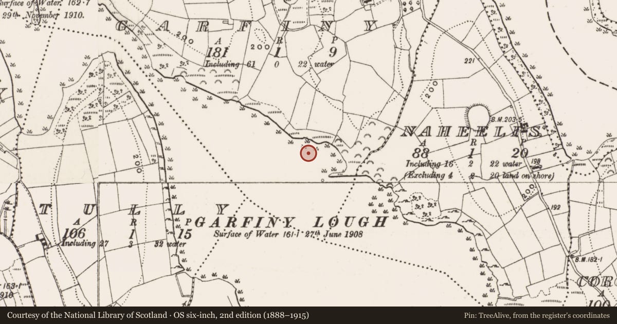 Ordnance Survey six-inch map, 2nd edition (1888–1915) covering the location of Crannog, Garfiny, County Cavan, with a pin at the register's coordinates