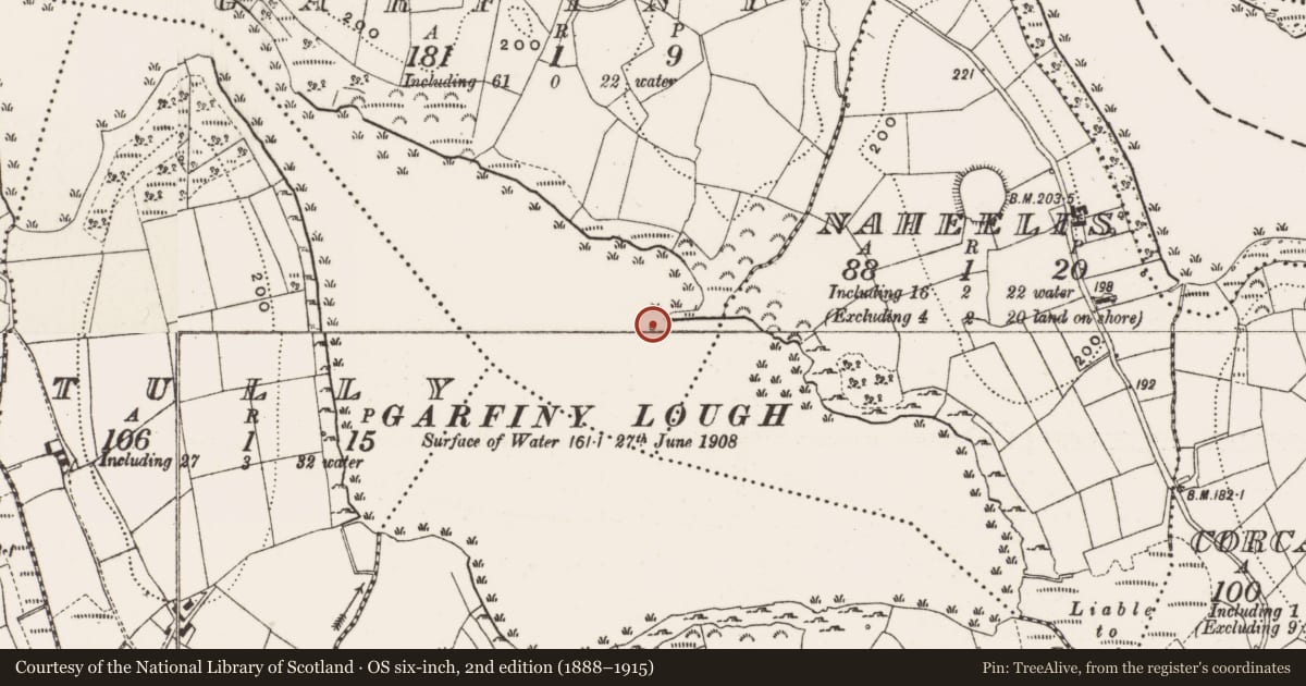 Ordnance Survey six-inch map, 2nd edition (1888–1915) covering the location of Crannog, Garfiny, County Cavan, with a pin at the register's coordinates
