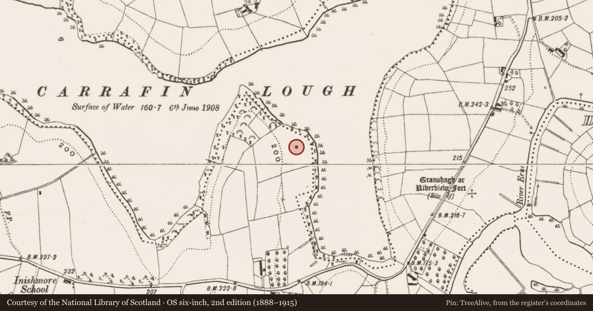 Ordnance Survey six-inch map, 2nd edition (1888–1915) covering the location of Moated site, Inishmore, County Cavan, with a pin at the register's coordinates