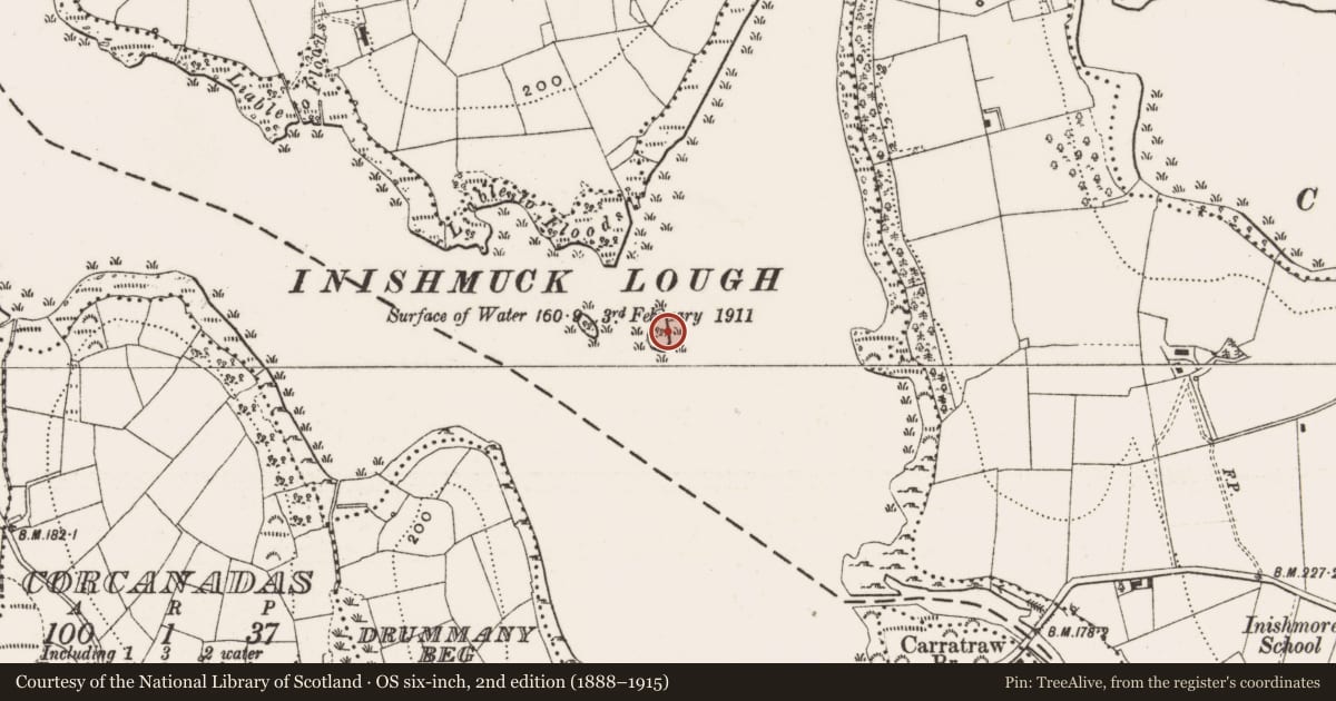 Ordnance Survey six-inch map, 2nd edition (1888–1915) covering the location of Crannog, Inishmuck, County Cavan, with a pin at the register's coordinates