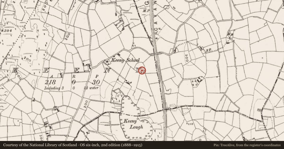 Ordnance Survey six-inch map, 2nd edition (1888–1915) covering the location of Enclosure, Keeny, County Cavan, with a pin at the register's coordinates
