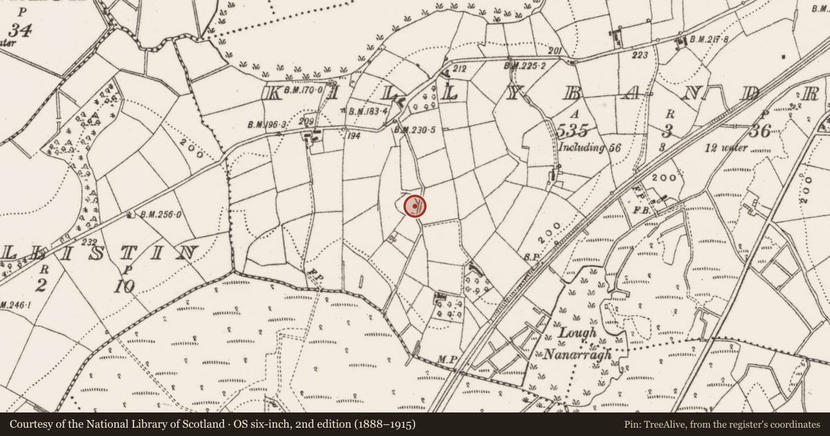 Ordnance Survey six-inch map, 2nd edition (1888–1915) covering the location of Ringfort - cashel, Killybandrick, County Cavan, with a pin at the register's coordinates