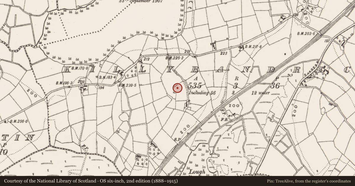 Ordnance Survey six-inch map, 2nd edition (1888–1915) covering the location of Ringfort - rath, Killybandrick, County Cavan, with a pin at the register's coordinates