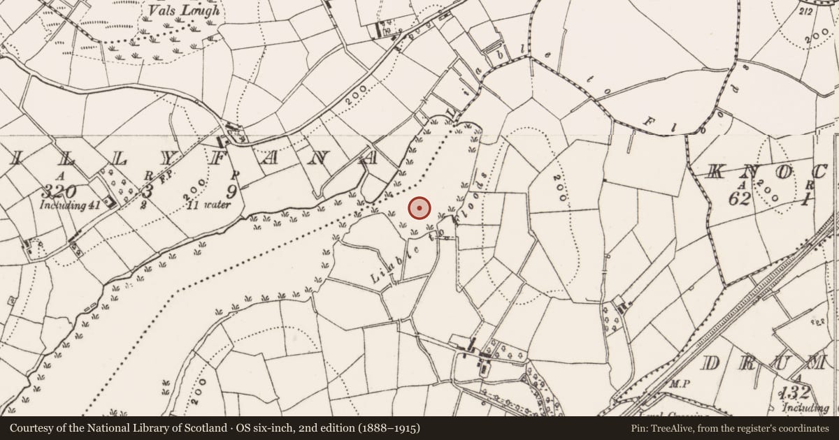 Ordnance Survey six-inch map, 2nd edition (1888–1915) covering the location of Crannog, Killybandrick, County Cavan, with a pin at the register's coordinates