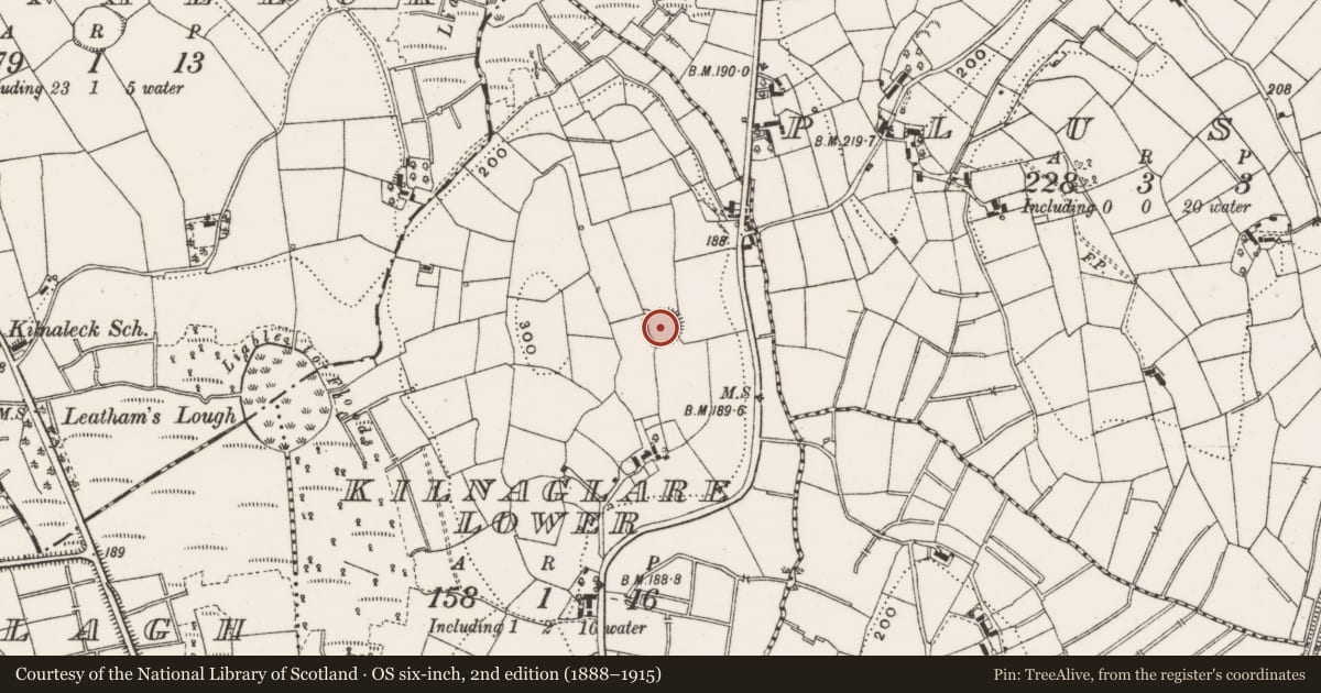 Ordnance Survey six-inch map, 2nd edition (1888–1915) covering the location of Ringfort - rath, Kilnaglare Lower, County Cavan, with a pin at the register's coordinates