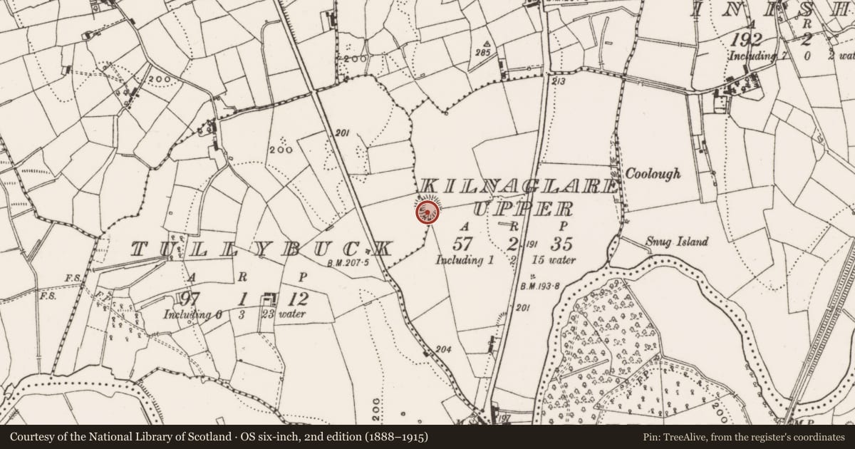 Ordnance Survey six-inch map, 2nd edition (1888–1915) covering the location of Ringfort - rath, Kilnaglare Upper, County Cavan, with a pin at the register's coordinates