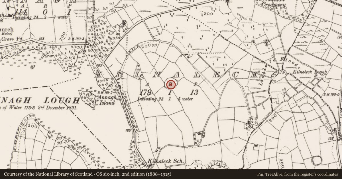 Ordnance Survey six-inch map, 2nd edition (1888–1915) covering the location of Ringfort - rath, Kilnaleck, County Cavan, with a pin at the register's coordinates