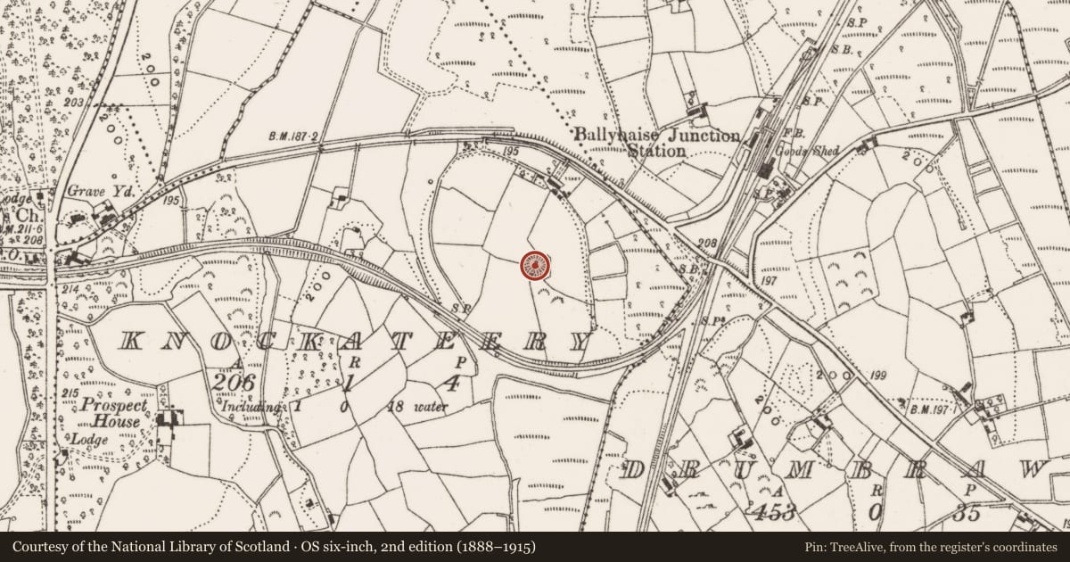 Ordnance Survey six-inch map, 2nd edition (1888–1915) covering the location of Ringfort - rath, Knockateery, County Cavan, with a pin at the register's coordinates