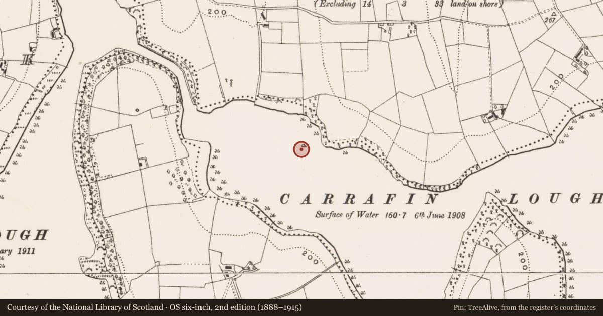 Ordnance Survey six-inch map, 2nd edition (1888–1915) covering the location of Crannog, Rivory, County Cavan, with a pin at the register's coordinates
