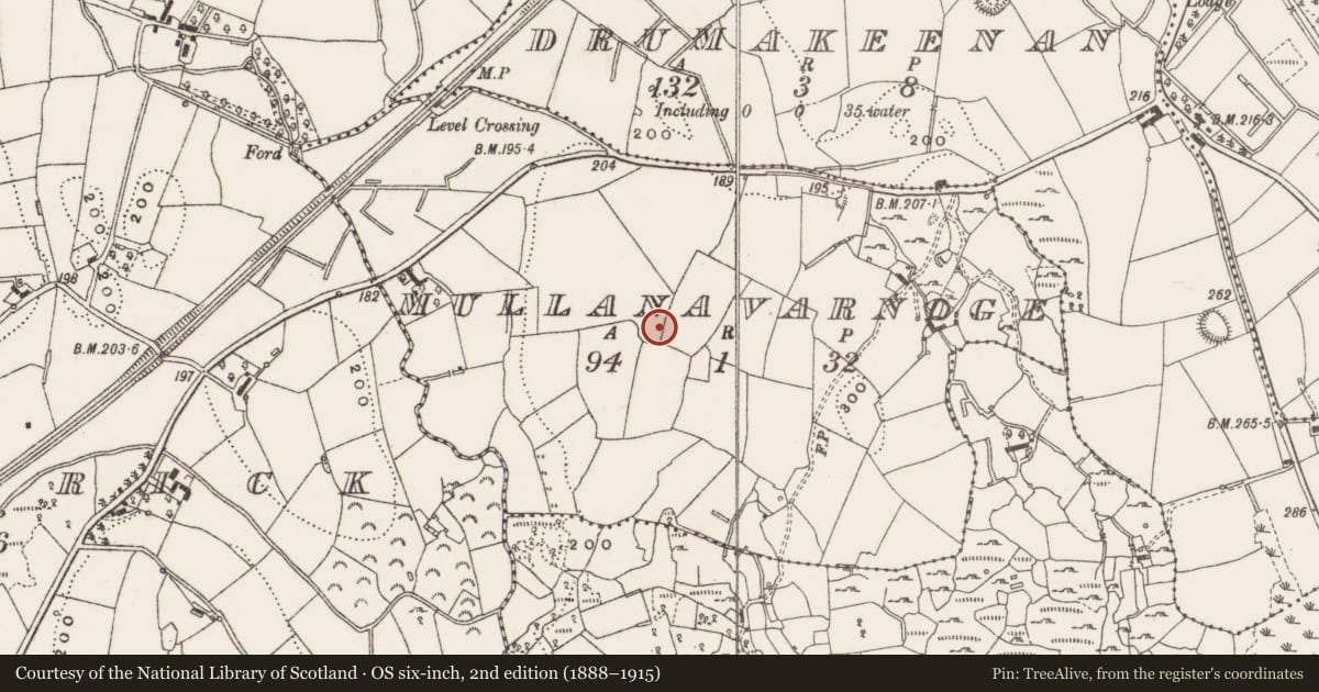Ordnance Survey six-inch map, 2nd edition (1888–1915) covering the location of Ringfort - rath, Mullanavarnoge, County Cavan, with a pin at the register's coordinates