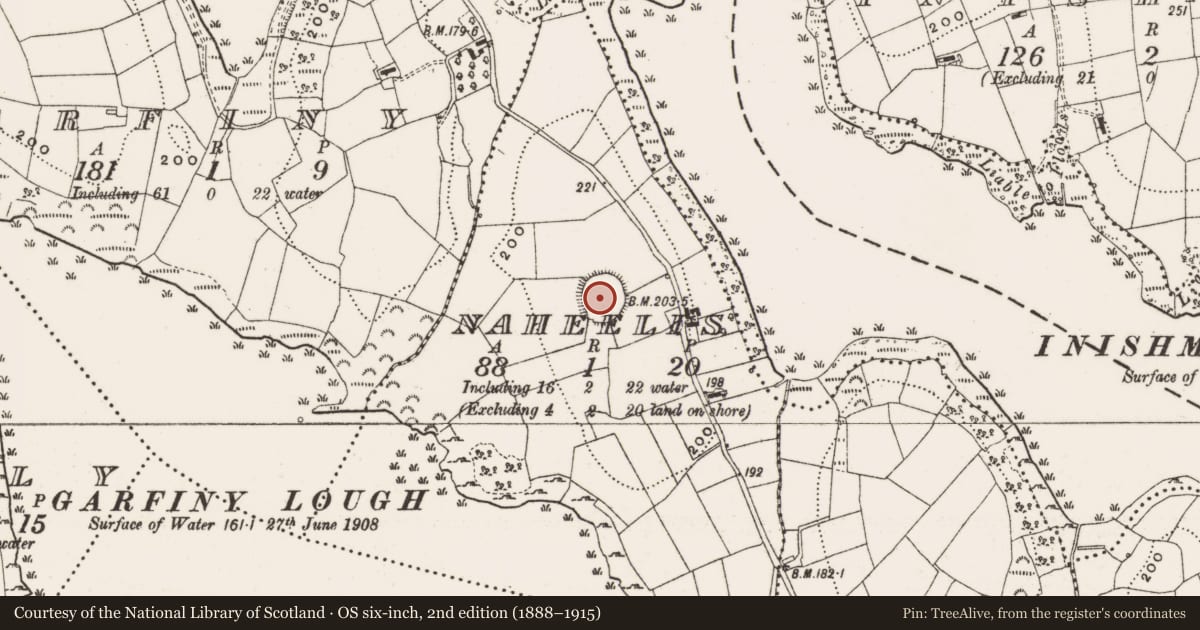 Ordnance Survey six-inch map, 2nd edition (1888–1915) covering the location of Ringfort - rath, Naheelis, County Cavan, with a pin at the register's coordinates