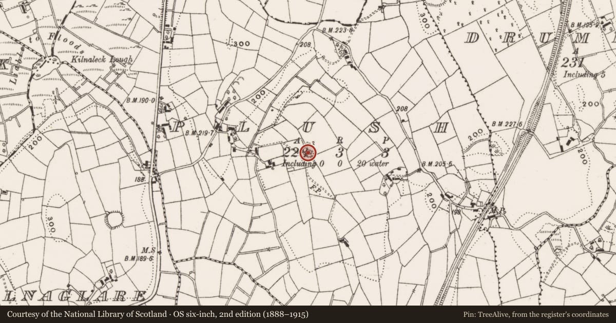 Ordnance Survey six-inch map, 2nd edition (1888–1915) covering the location of Ringfort - rath, Plush, County Cavan, with a pin at the register's coordinates