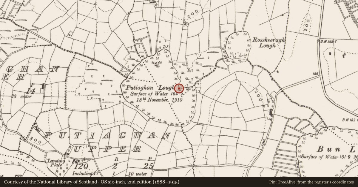 Ordnance Survey six-inch map, 2nd edition (1888–1915) covering the location of Crannog, Rosskeeragh, County Cavan, with a pin at the register's coordinates