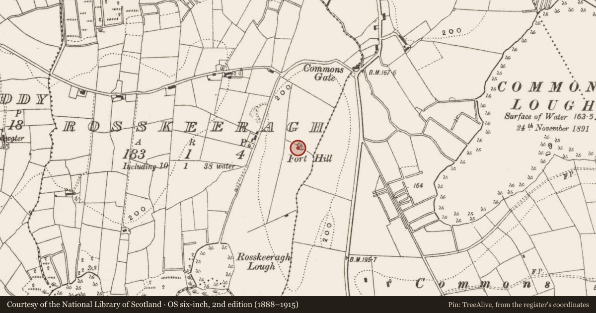 Ordnance Survey six-inch map, 2nd edition (1888–1915) covering the location of Ringfort - rath, Rosskeeragh, County Cavan, with a pin at the register's coordinates