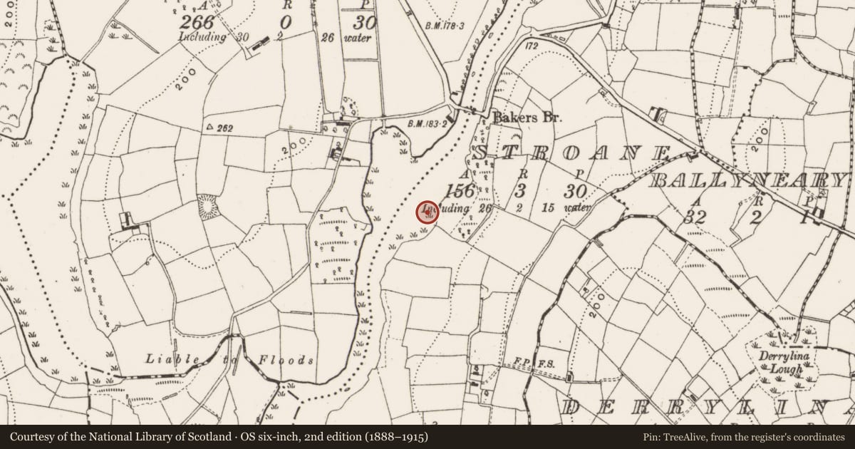 Ordnance Survey six-inch map, 2nd edition (1888–1915) covering the location of Crannog, Stroane, County Cavan, with a pin at the register's coordinates