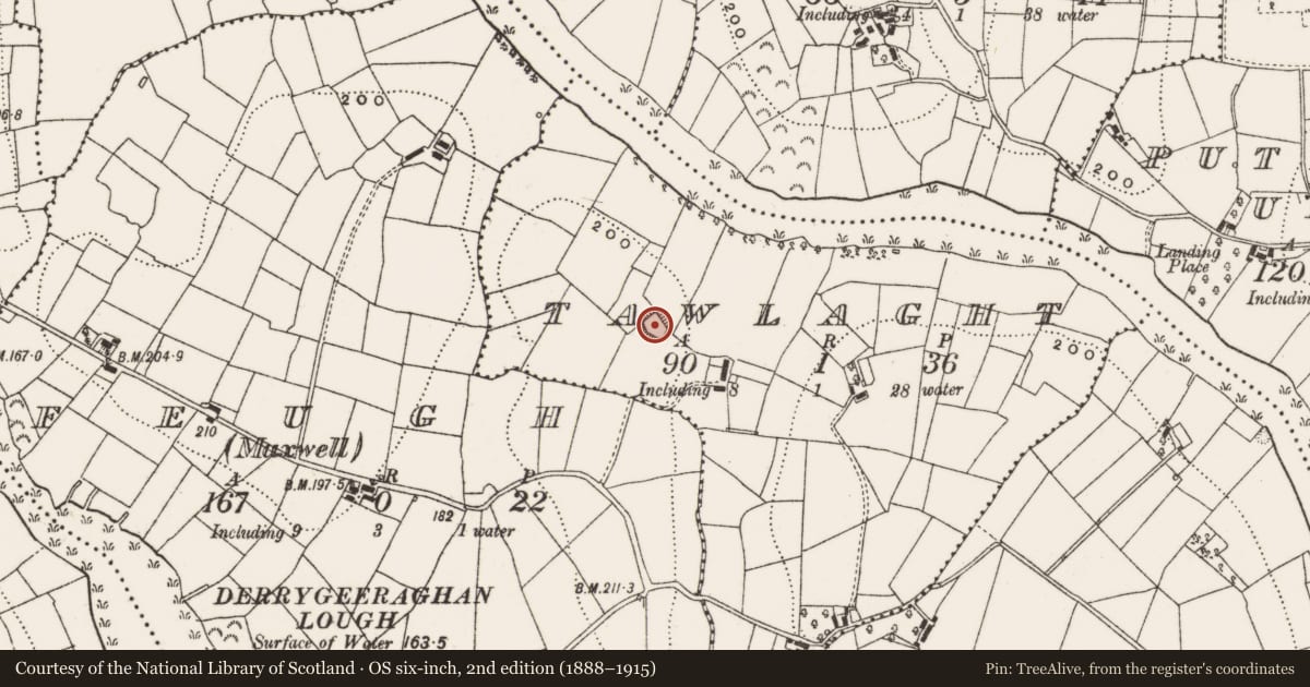 Ordnance Survey six-inch map, 2nd edition (1888–1915) covering the location of Ringfort - rath, Tawlaght, County Cavan, with a pin at the register's coordinates