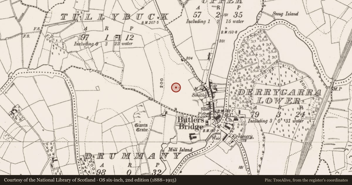 Ordnance Survey six-inch map, 2nd edition (1888–1915) covering the location of Standing stone, Tullybuck, County Cavan, with a pin at the register's coordinates