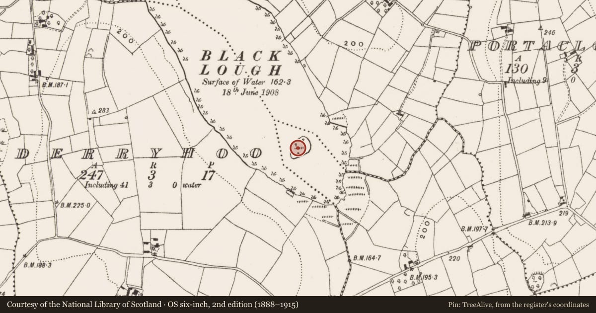 Ordnance Survey six-inch map, 2nd edition (1888–1915) covering the location of Crannog, Drummany (Pleydell), County Cavan, with a pin at the register's coordinates