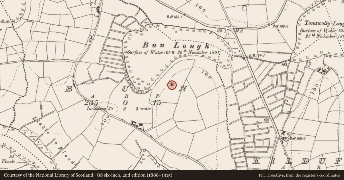 Ordnance Survey six-inch map, 2nd edition (1888–1915) covering the location of Enclosure, Bun, County Cavan, with a pin at the register's coordinates