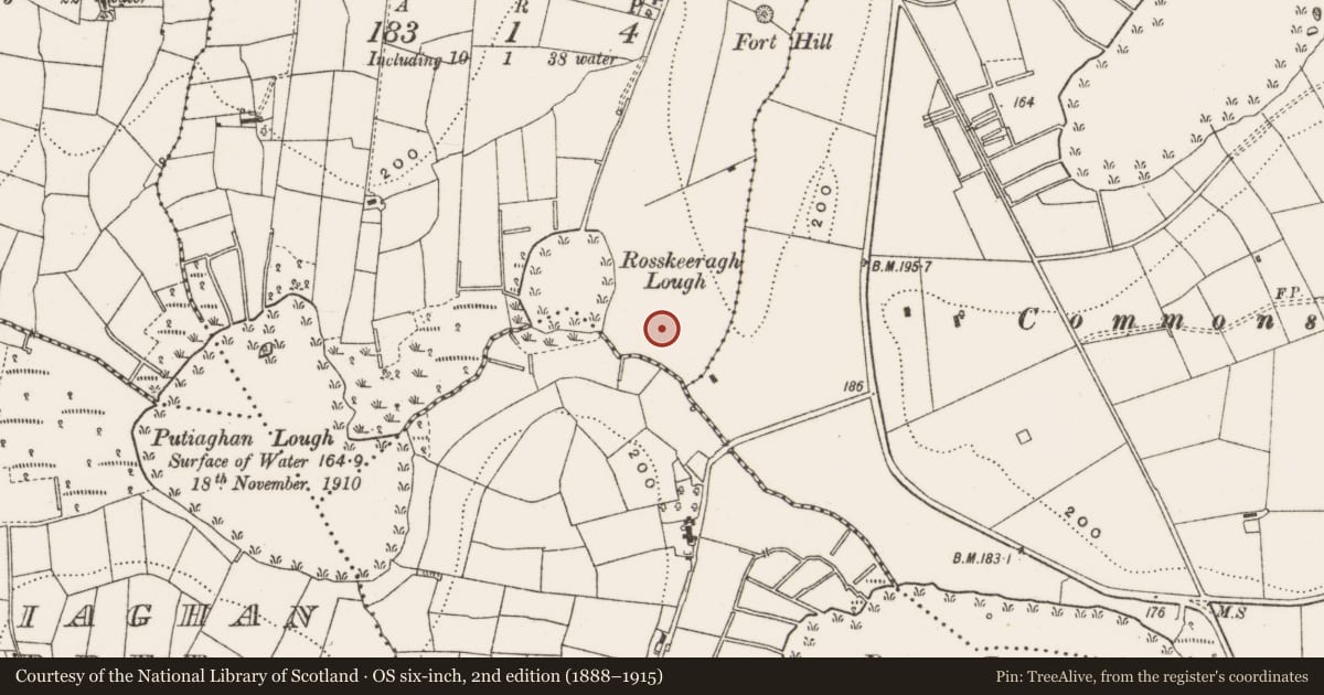 Ordnance Survey six-inch map, 2nd edition (1888–1915) covering the location of Fulacht fia, Rosskeeragh, County Cavan, with a pin at the register's coordinates