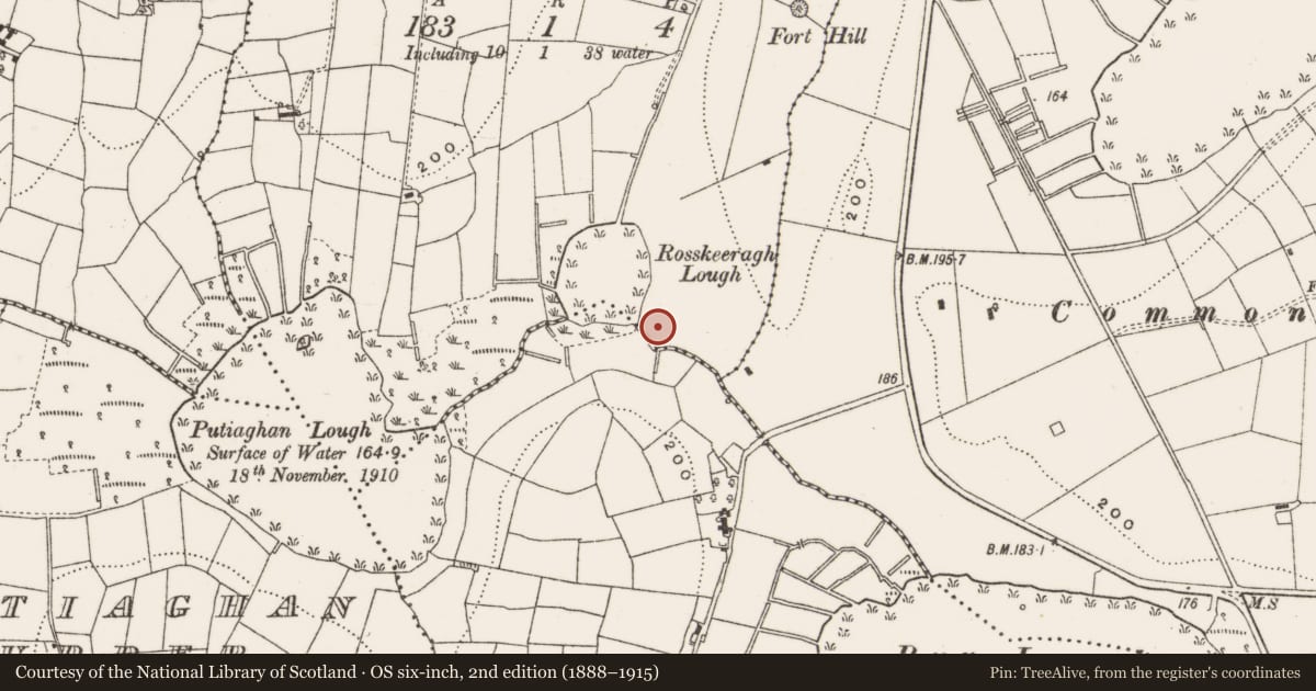 Ordnance Survey six-inch map, 2nd edition (1888–1915) covering the location of Fulacht fia, Rosskeeragh, County Cavan, with a pin at the register's coordinates
