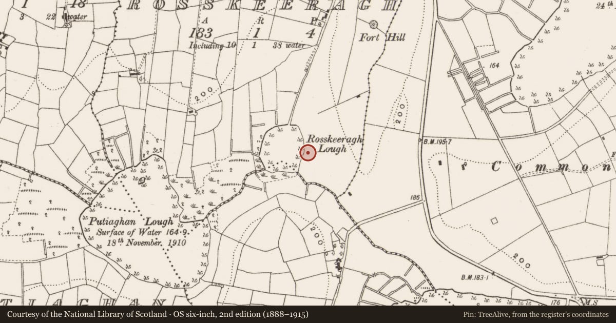 Ordnance Survey six-inch map, 2nd edition (1888–1915) covering the location of Fulacht fia, Rosskeeragh, County Cavan, with a pin at the register's coordinates