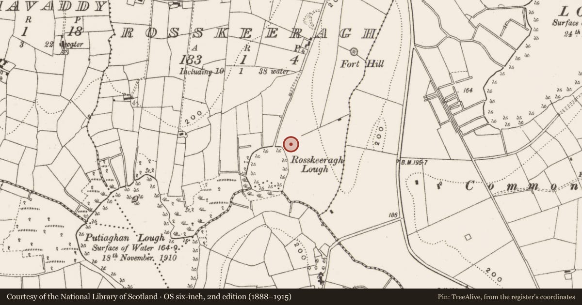 Ordnance Survey six-inch map, 2nd edition (1888–1915) covering the location of Fulacht fia, Rosskeeragh, County Cavan, with a pin at the register's coordinates