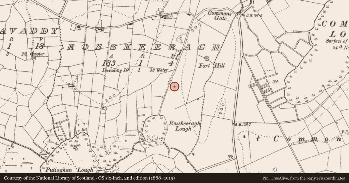 Ordnance Survey six-inch map, 2nd edition (1888–1915) covering the location of Fulacht fia, Rosskeeragh, County Cavan, with a pin at the register's coordinates