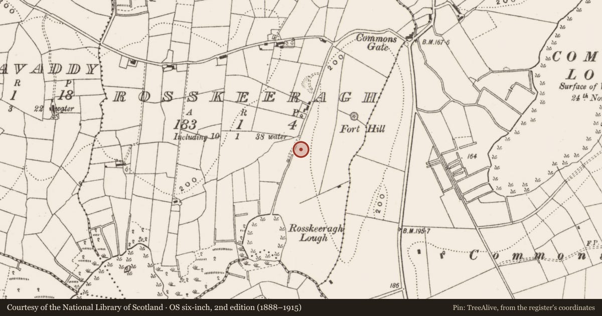 Ordnance Survey six-inch map, 2nd edition (1888–1915) covering the location of Fulacht fia, Rosskeeragh, County Cavan, with a pin at the register's coordinates