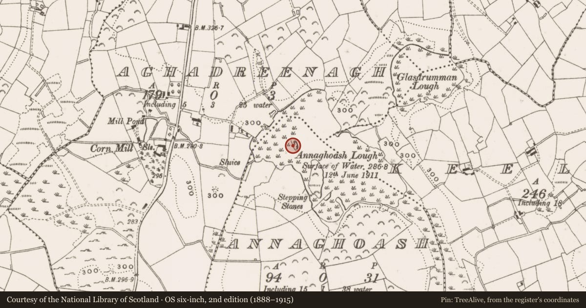 Ordnance Survey six-inch map, 2nd edition (1888–1915) covering the location of Crannog, Annaghoash, County Cavan, with a pin at the register's coordinates