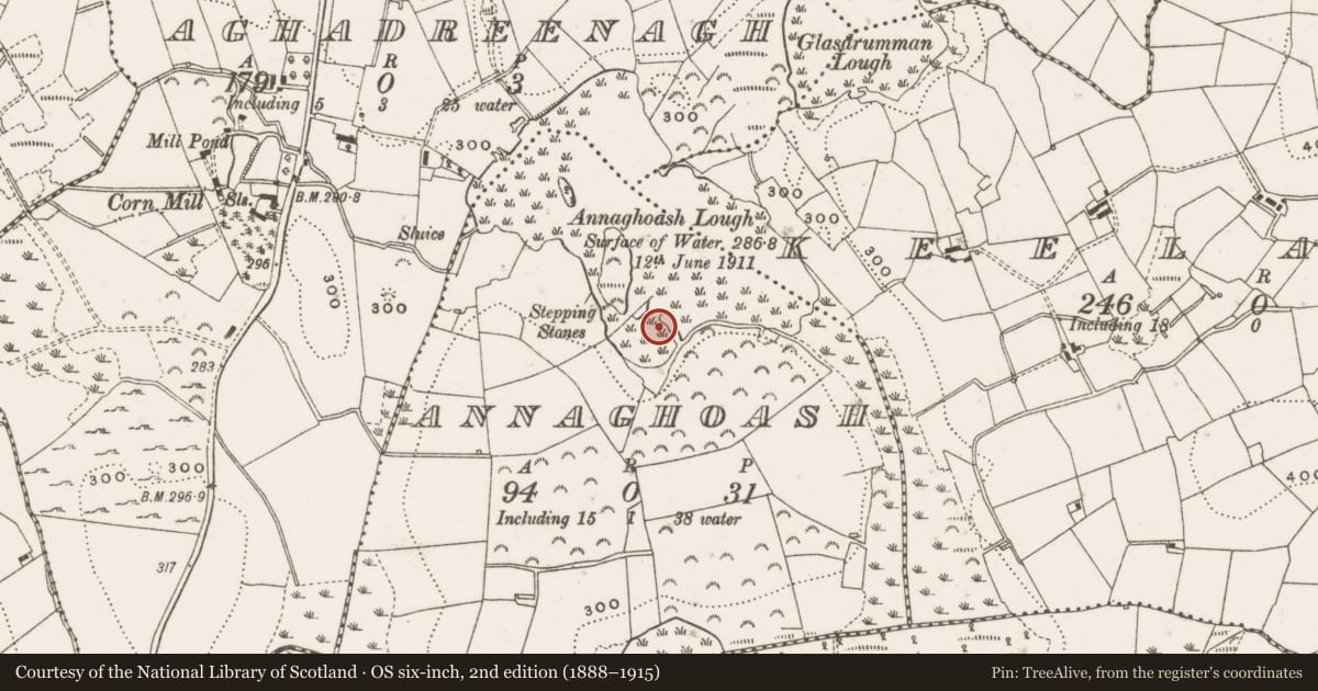 Ordnance Survey six-inch map, 2nd edition (1888–1915) covering the location of Crannog, Annaghoash, County Cavan, with a pin at the register's coordinates