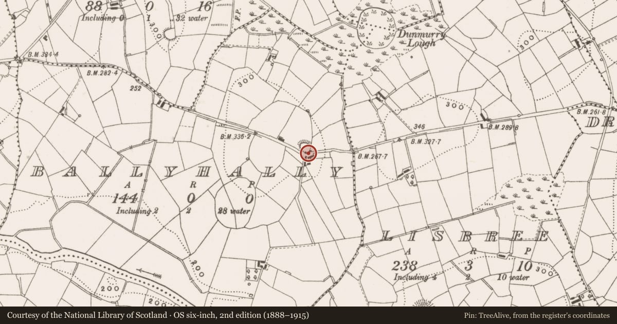 Ordnance Survey six-inch map, 2nd edition (1888–1915) covering the location of Ringfort - rath, Ballyhally, County Cavan, with a pin at the register's coordinates