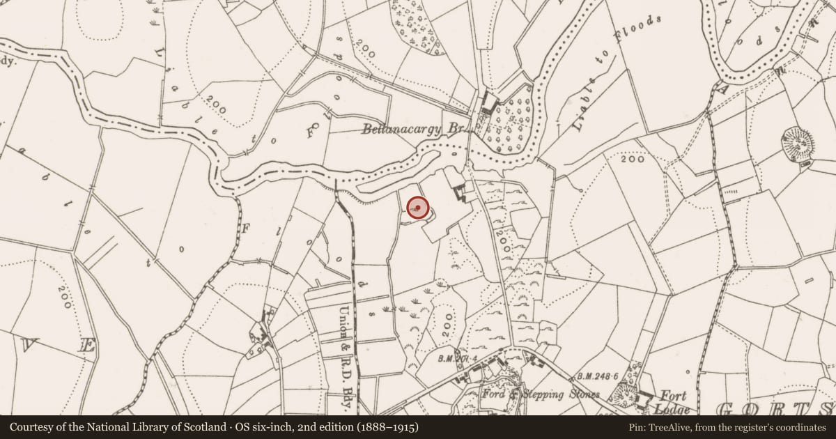 Ordnance Survey six-inch map, 2nd edition (1888–1915) covering the location of Castle - unclassified, Bellanacargy, County Cavan, with a pin at the register's coordinates